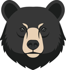  bear vector