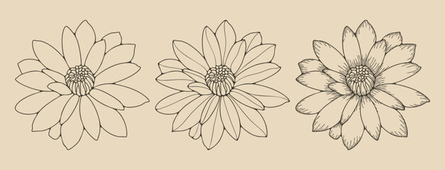 Hand-drawn lotus flower outline. Floral vector illustration.