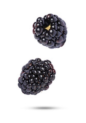 blackberry isolated on white background