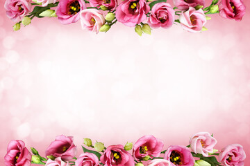 Pink eustoma flowers in a line floral arrangements (top and bottom) on soft holiday background