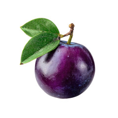 Close-up of a plump, dark purple plum with fresh green leaves