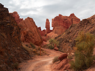 Vivid red rock canyon in Central Asian mountains, displaying nature's powerful artistry