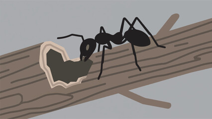 Illustration Of Large Black Ants Coming In And Out Of Their Nest In A Rotten Tree Trunk Vector Design Template