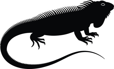 Fototapeta premium Black iguana silhouette with spiky crest and tail reptile