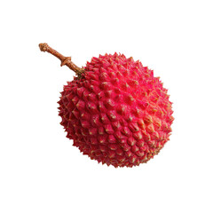 Close-up of a vibrant, reddish-pink lychee fruit with a bumpy texture and a stem