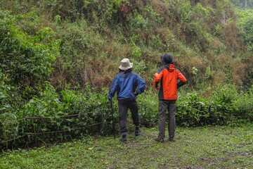 Two Hikers Exploring Lush Green Forest Experiencing Nature's Beauty And Fresh Air Together