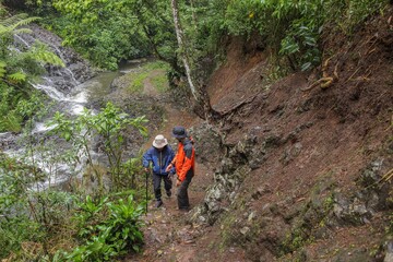 Obraz premium Two Hikers Exploring Lush Rainforest Trail Near Cascading Waterfall
