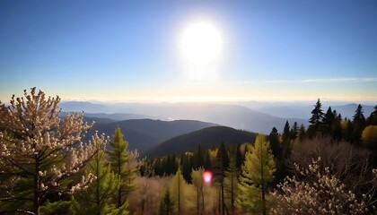 Mountain landscape scenic view nature outdoors trees sunlight sky travel destination