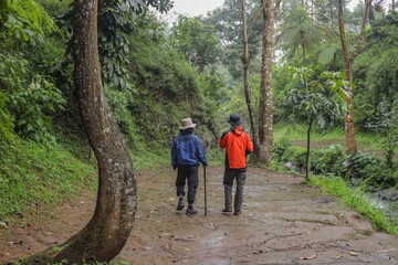 Fototapeta premium Two hikers Explore Lush Green Forest Trail, Enjoying The Tranquility And Beauty Of Nature