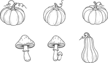 Autumn harvest black and white line art vector illustration set with pumpkins, mushrooms, and gourd, seasonal botanical elements, fall decorations