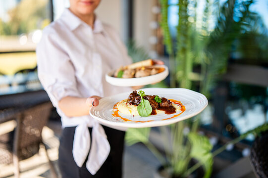 Restaurant server holding two plated meals with meat, mashed potatoes, and vegetables in a bright, upscale dining setting. Food presentation and hospitality concept