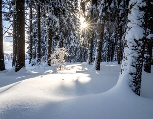 Snowy forest path with sunburst