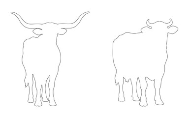 Outline drawing of farm cows and bulls front view livestock animal vector graphic for agriculture dairy beef ranch rustic and countryside design