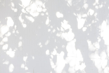 Tree shadow and light of leaf branch background. Nature leaves tropical jungle tree branch dark shadows and light from sunlight on wall texture for background wallpaper design, shadow overlay effect 