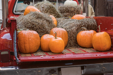 A red pickup truck loaded with pumpkins and haystacks. Pumpkins in the trunk of the car. The concept of farming, harvesting, Halloween