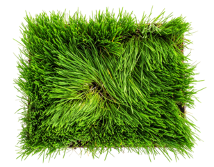 A vibrant, rectangular patch of bright green grass, densely packed with long blades, showing subtle textural variations and a slightly uneven top surface