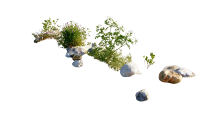 Nature's Stone Garden: A close-up perspective unveils a miniature garden crafted from weathered stones and vibrant flora, embodying a harmonious blend of natural textures.