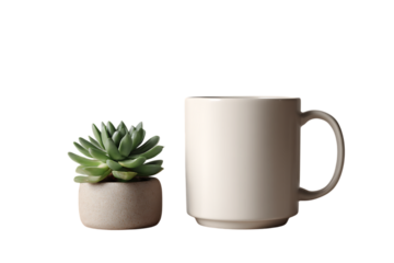 A Simple Still Life Featuring a Small Succulent Plant in a Concrete Pot Beside a Plain White Coffee Mug on a White Background.