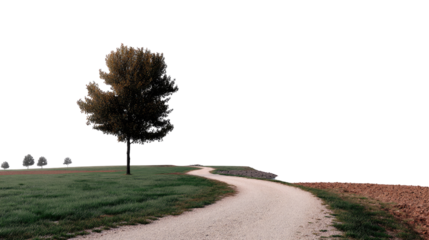 Winding Path to Solitude: A lone tree stands sentinel along a meandering path, inviting exploration, amidst the serene vastness of nature.