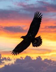 Obraz premium Majestic Eagle Soaring Against a Vibrant Sunset Sky A Stunning Display of Nature's Beauty