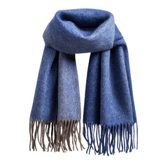 Soft,  blue and taupe-toned,  fringed shawl