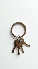 Two keys that are sitting on a key ring