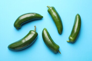 Green jalapeno peppers on light blue background, flat lay