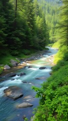 Obraz premium Landscape Lush Forest River