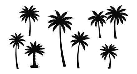 Fototapeta premium Tropical palm trees in a dark striking visual composition silhouette