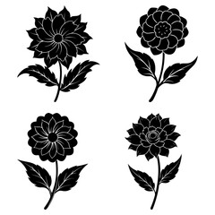Four black and white floral illustrations with detailed petals and leaves on a white background design element