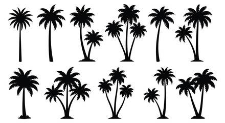 A collection of tropical palm trees in a black and white silhouette