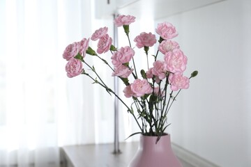 Beautiful carnation flowers in vase indoors, closeup