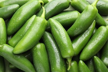 Many wet green jalapeno peppers as background, closeup