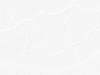 Obraz premium white paper texture