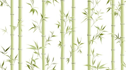 Fototapeta premium Bamboo Pattern