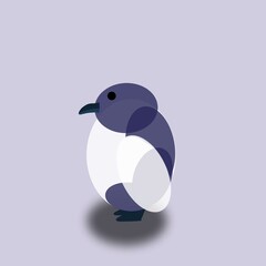 penguin on white background