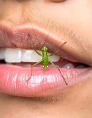 Close-up of a green insect held between open lips