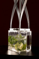 A stylish glass container filled with aromatic herbs and fresh lime slices sits in infusing water, essential for drink preparation and refreshment