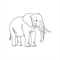 Elegant elephant outline for creative designs that celebrate wildlife and nature in a simple, modern way, perfect for educational materials and animal lovers