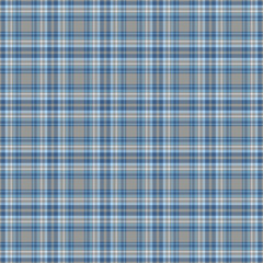 Classic blue and gray plaid pattern. Timeless design for textile, fashion, or backgrounds. Versatile and suitable for various creative projects.