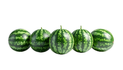 Five small, dark-green watermelons with light-green stripes arranged in a horizontal row against a black background, showing slight variations in size and stripe patterns