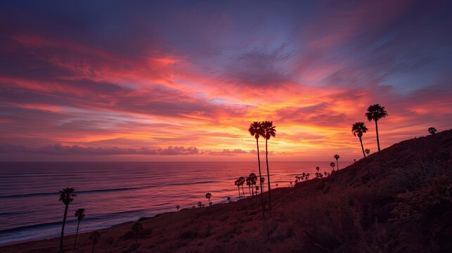 A dramatic sunset paints the coastal hills with vibrant hues of orange and purple, showcasing a line of palm trees silhouetted against the fiery sky.