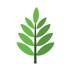 Fototapeta premium green leaf isolated on white background