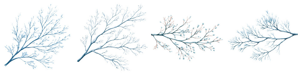 Watercolor Winter Branches with Snow on White Background
