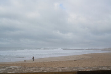 A lone figure walks along a sandy beach under a cloudy sky. Waves crash on the shore, and two dogs run ahead. It's a muted, overcast coastal scene.
