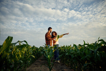 Rural non urban scene. Man and woman are on the corn agricultural field