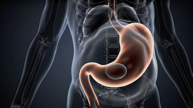 Glowing stomach visualized as an overfilled container, expanding under pressure, radiating imbalance