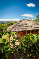 Thatched-roof house in Georgian countryside, surrounded by vineyards and mountain views. A symbol of traditional rural life