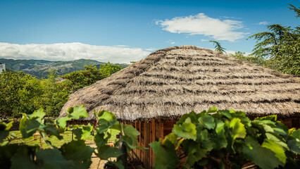 Thatched-roof house in Georgian countryside, surrounded by vineyards and mountain views. A symbol of traditional rural life
