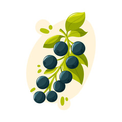 black currant vector illustration with green leaves. Cartoon style for garden harvest, food design and healthy lifestyle.